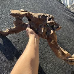 Large driftwood