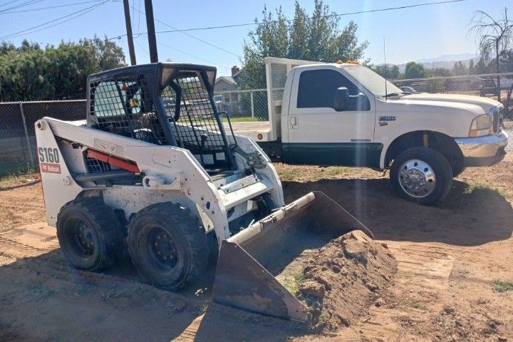 Bobcat Available 