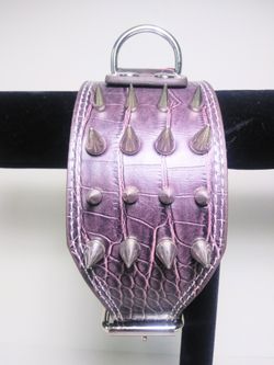 Small Spike Dog Collar