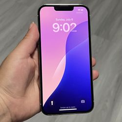 Iphone 13 Pro 256 GB Unlocked