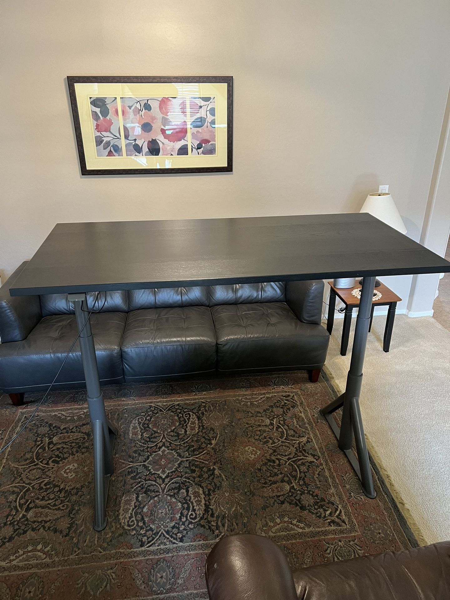 Ikea Idasen Sit/Stand Desk