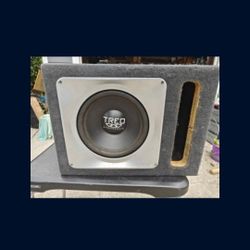 Treo 12" Subwoofer In Ported Box