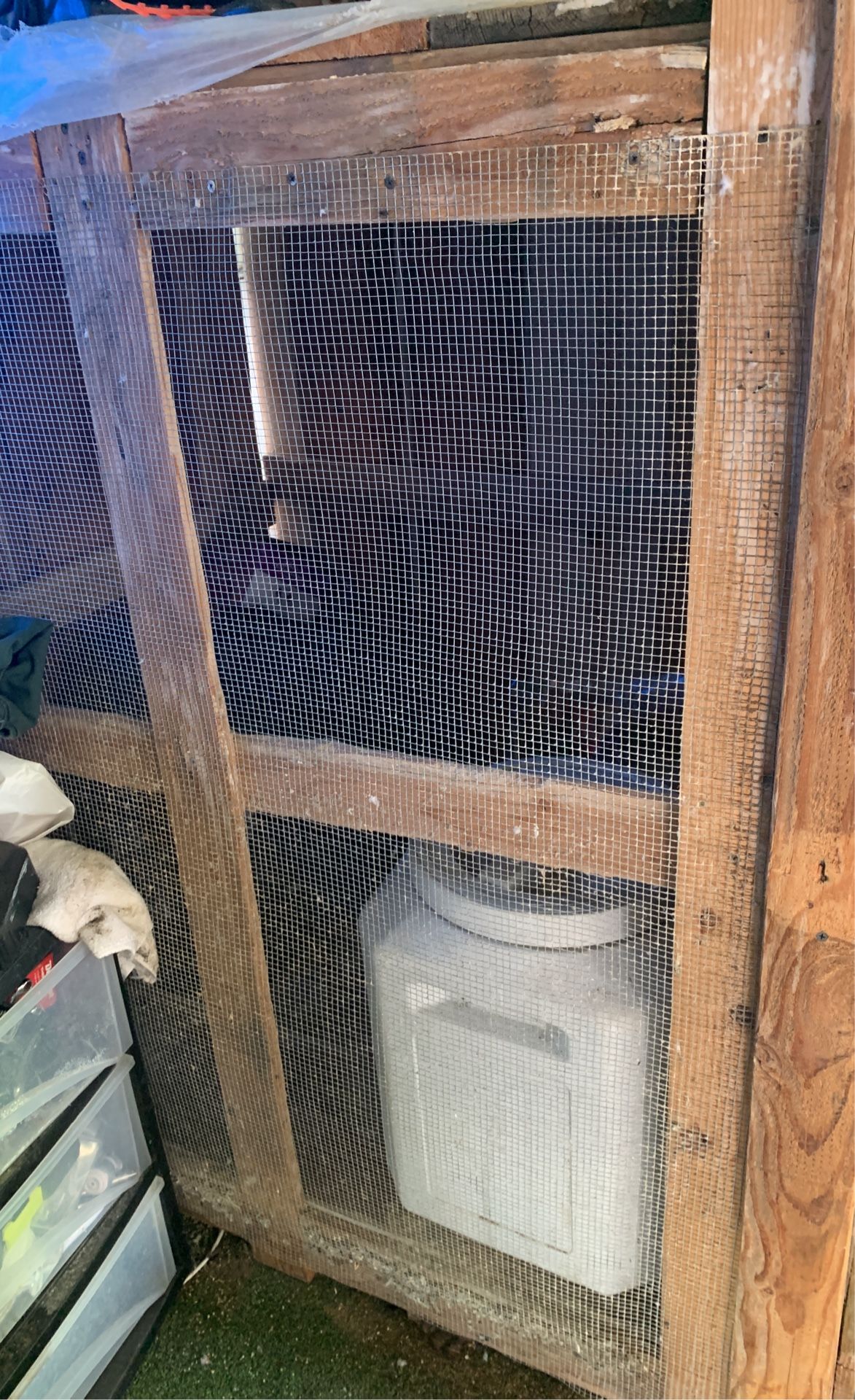 Bird Cage