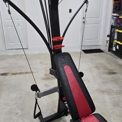 BowFlex PR1000 Gym Workout System
