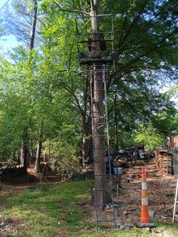 Tree stand for two