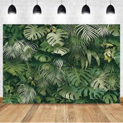 Green Forest Photo Background 