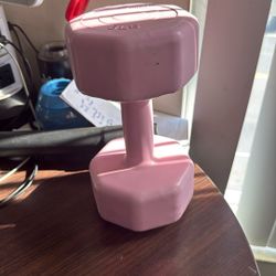 Pink Dumbbell