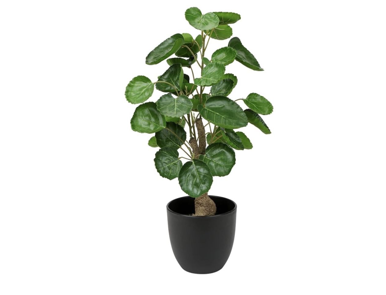 18 Inch Fake Money Tree Plant Indoor Potted Plants Artificial Guilfoyle polyscias Tree Small Faux Plants in Black Pot Good Luck Excellent Gift Fortune