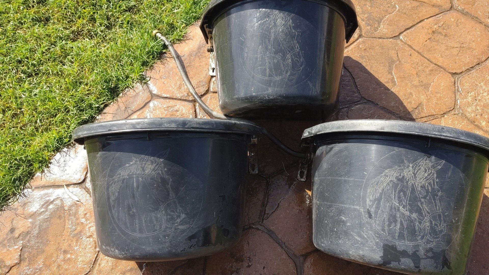 Water buckets with auto off for livestock.