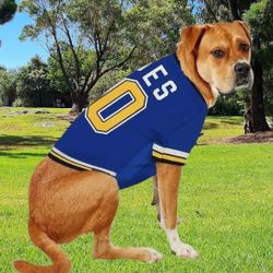 🐾 NHL St. Louis Blues Jersey, Large