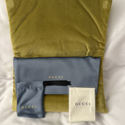 Gucci Green and Blue Soft Velvet case