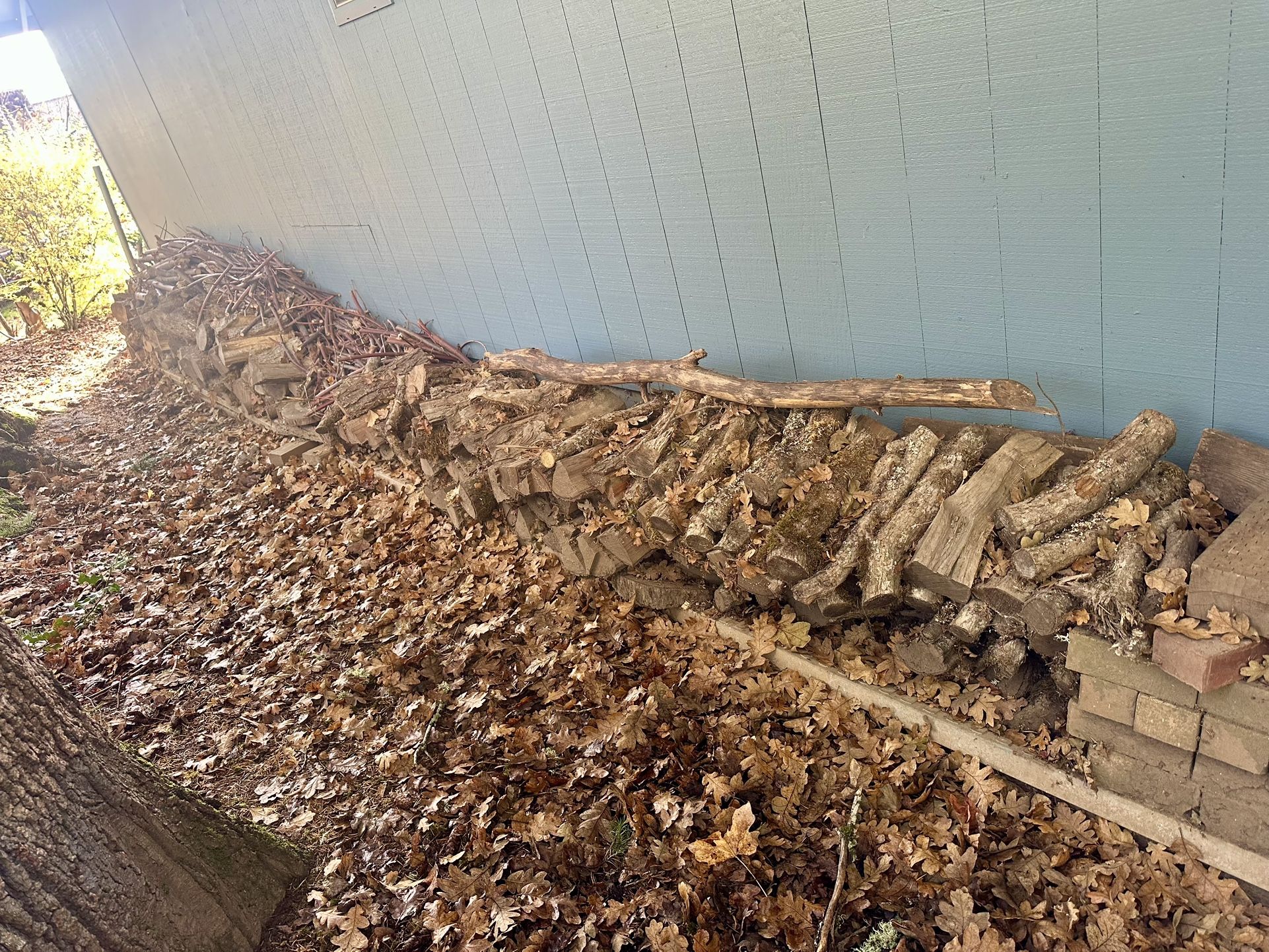 Firewood, Aged 2 Years