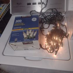 1 Set Of White Lights Indoor/ Outdoor