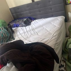 Queen /twin Trundle Bed frame 