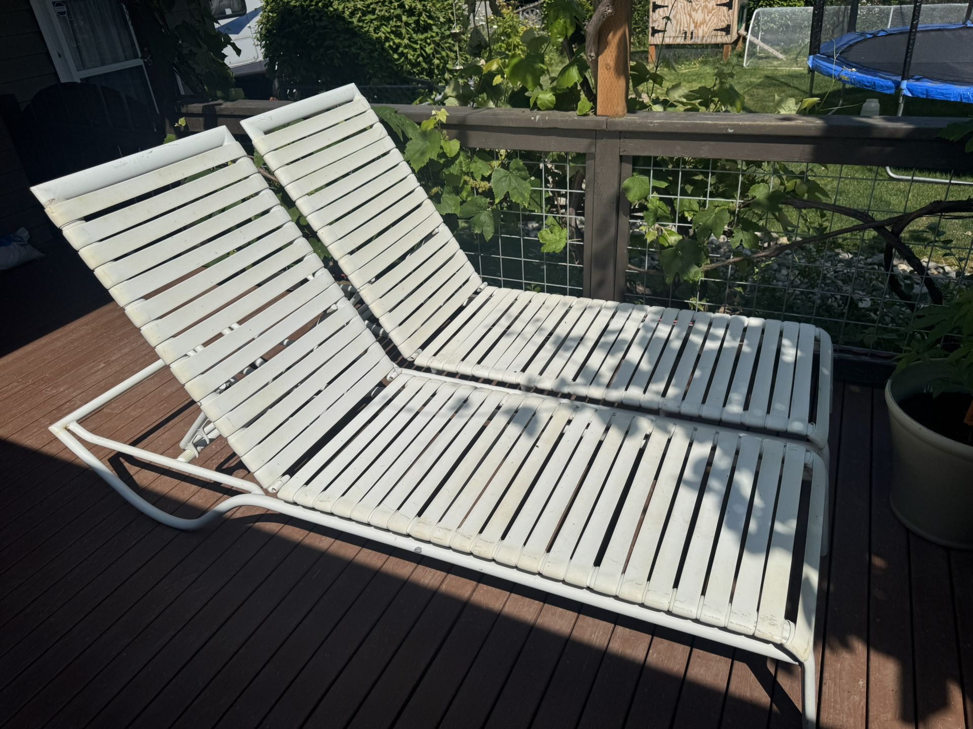 Lounge Chairs
