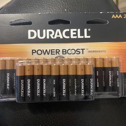 Duracell Coppertop Alkaline AAA Battery (24-Pack), Triple A Batteries