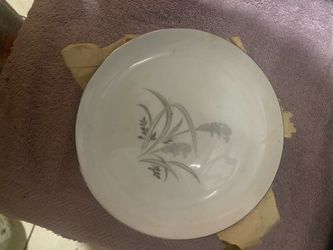 Dinner plate