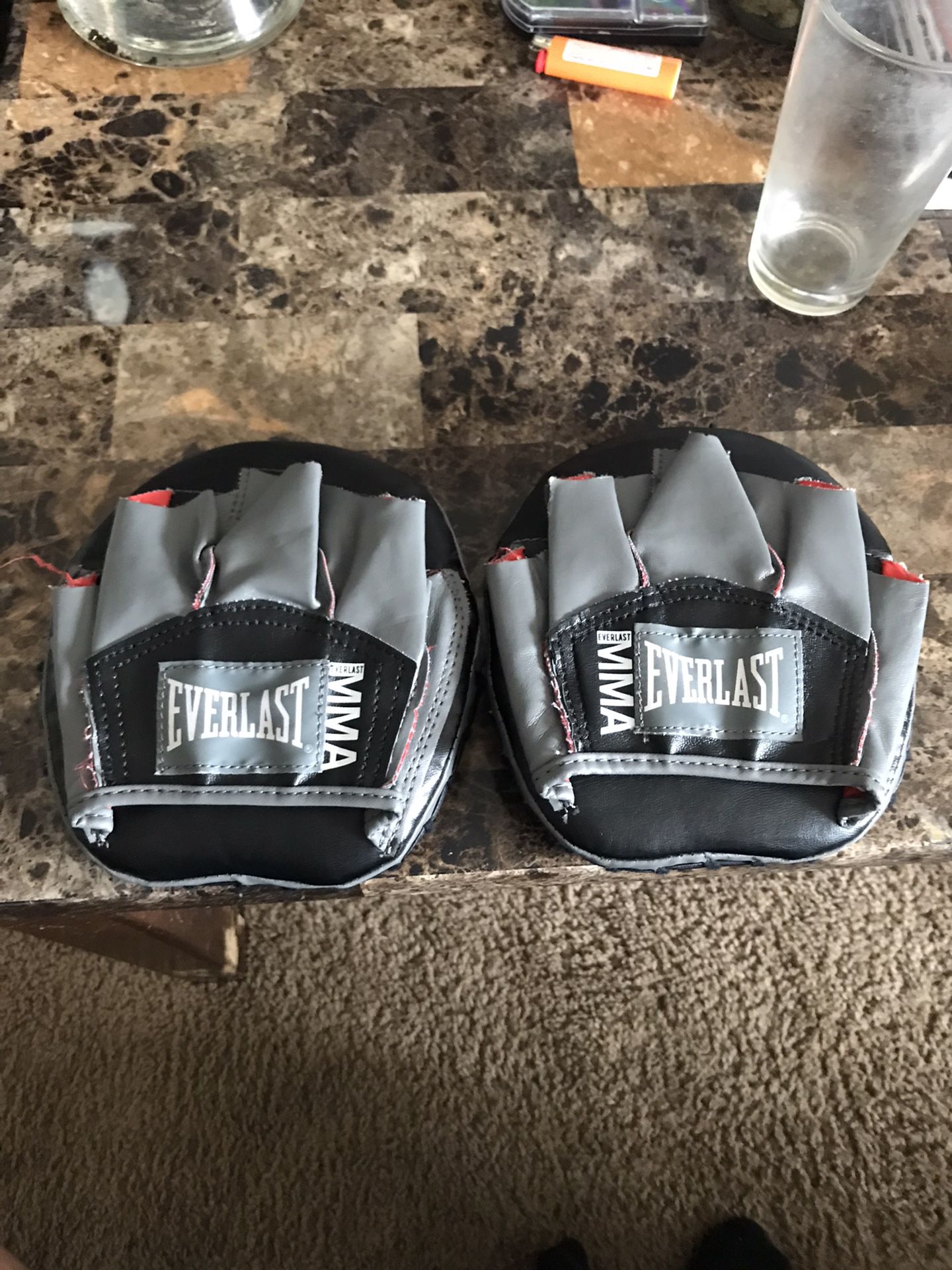 UFC & Everlast  (training gloves)