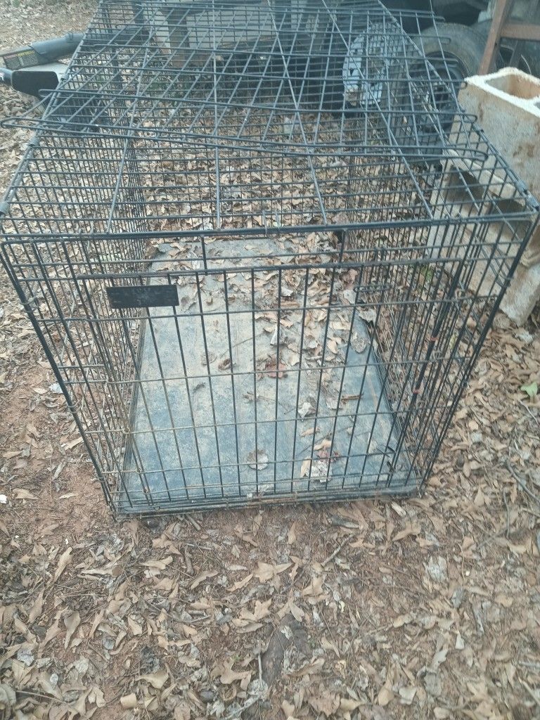 Big Dog Cage