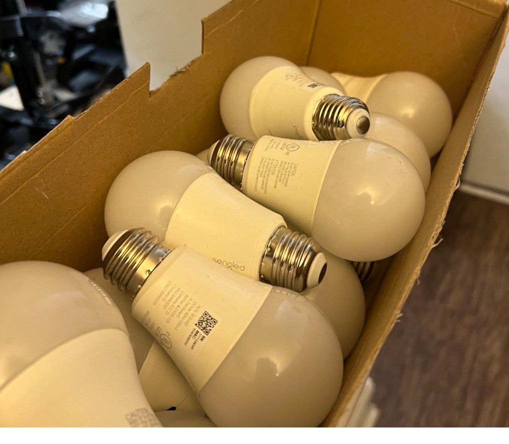 Hue Lamp Bulbs 