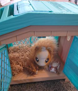 Little Live Pet Mama Surprise