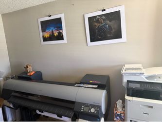 Custom printing and 100s of matted and framed prints for sell.