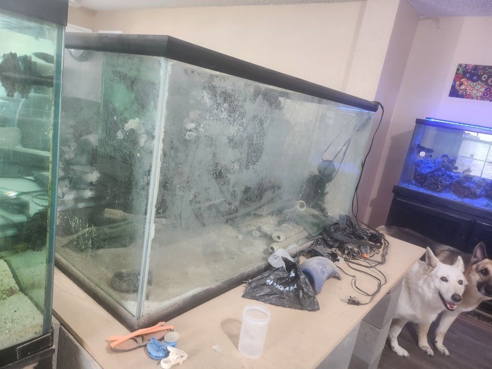 Aquarium 