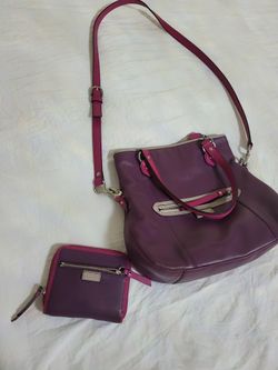 Coach Purse Set