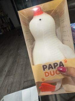 GuamtPapa Duck Toy in Box squishy