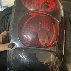 06 Trail Blazer Tail Light
