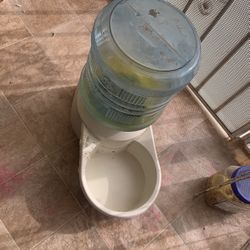 Dog Water Container