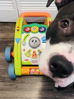 Fisher Price Walker/Activity Baby Toy(Doggy Not Included Lol)