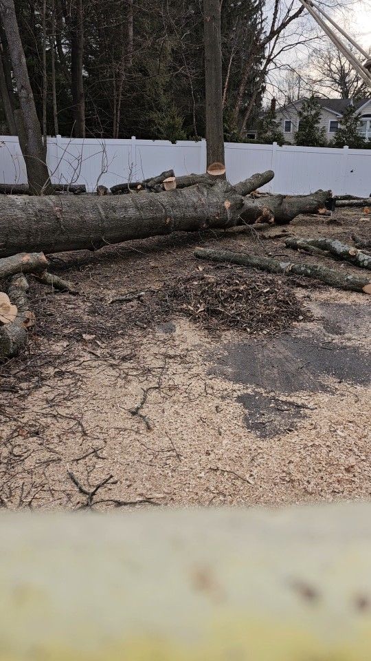 tree work
