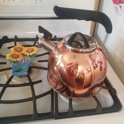 BEAUTIFUL COOPER TEA KETTLE 