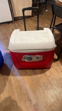 Ice Cooker 15 Dollars 