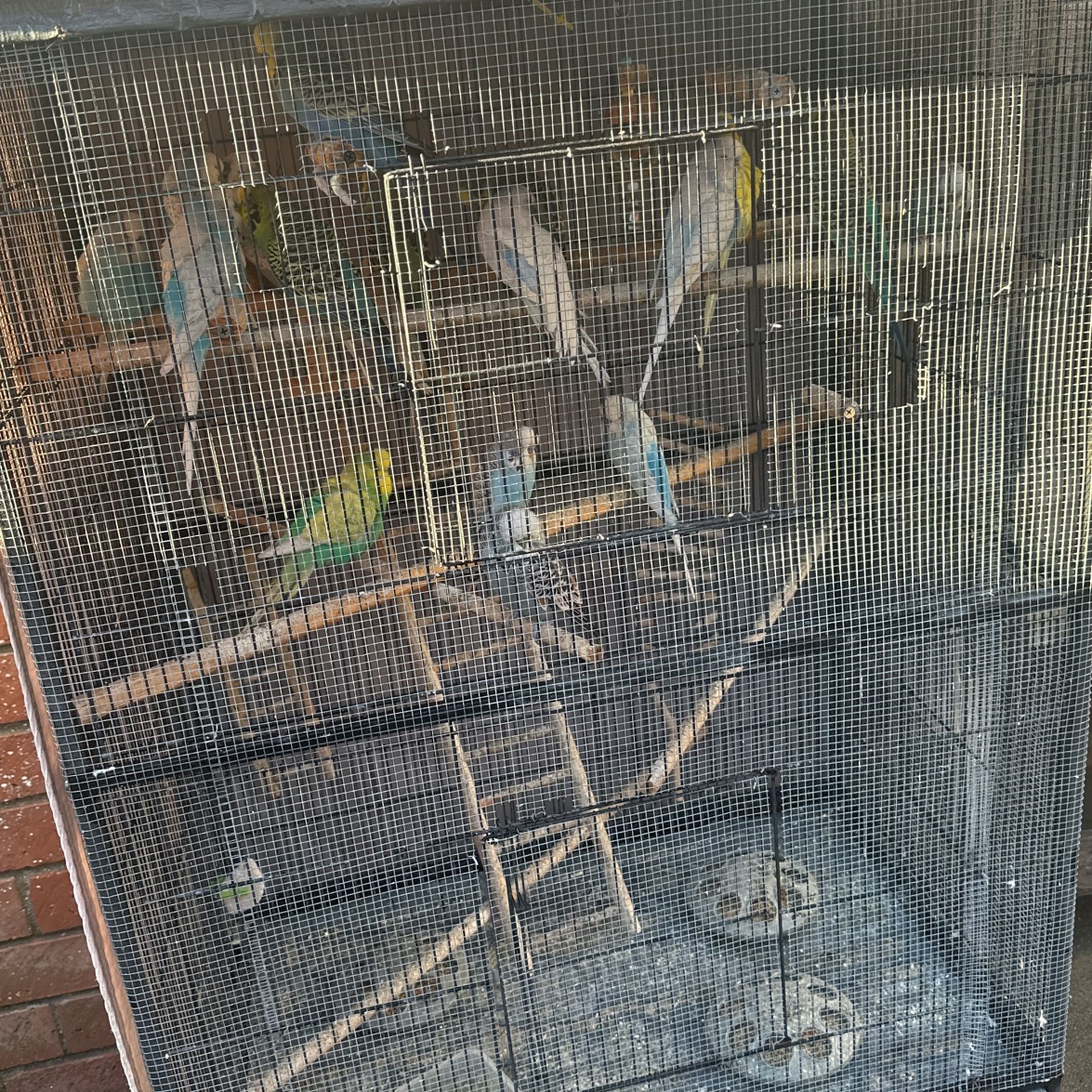 Jaulas En Venta