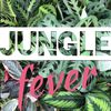 Jungle Fever San Diego