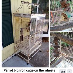Big Iron Pet Birds Cage , Parrot Dome With Play Area On The Top 