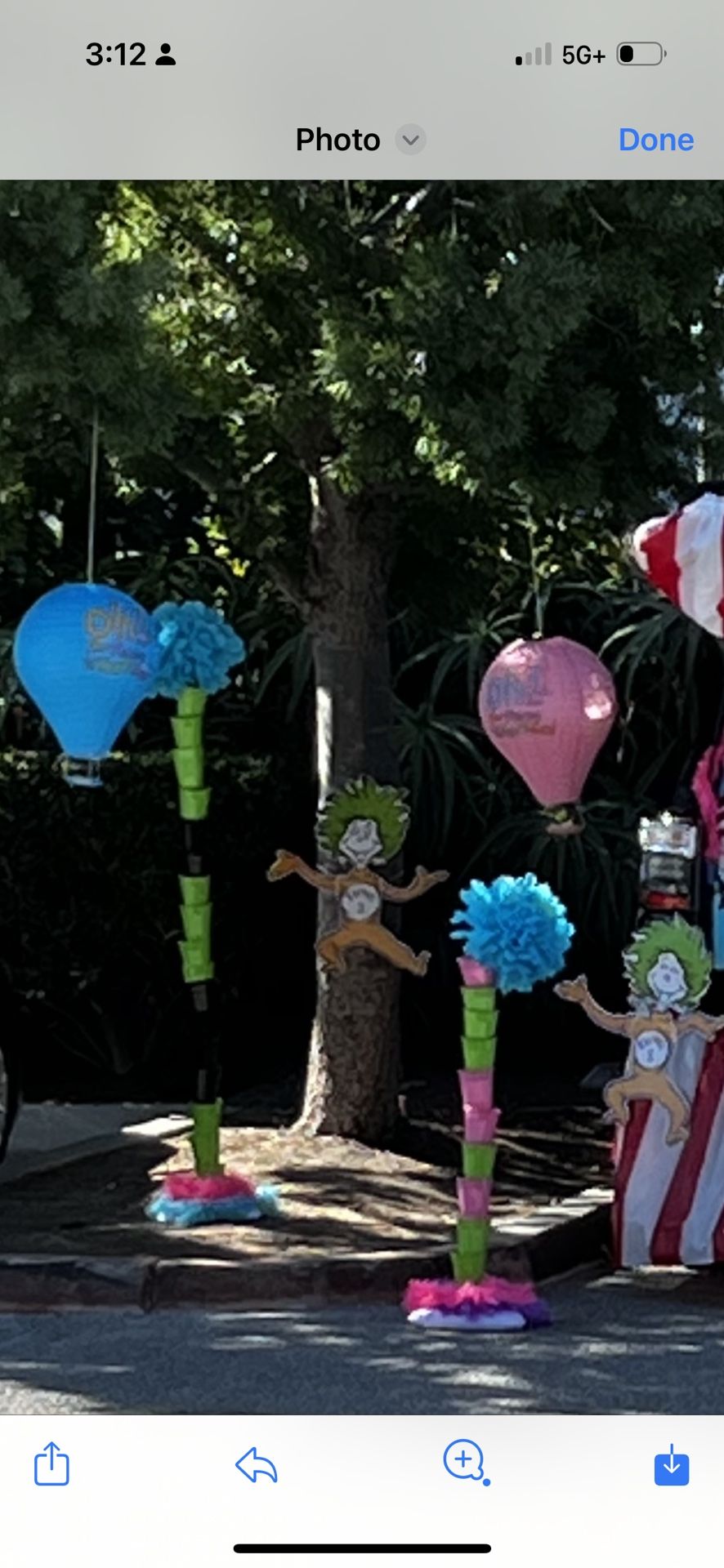 Dr Seuss Party Decorations -lanterns, Cutouts, Truffula Tree