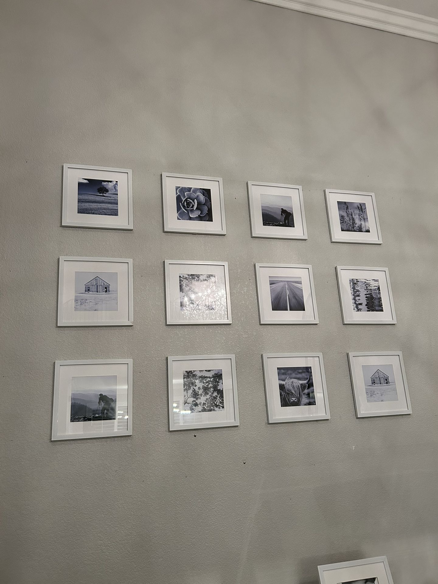 Lakischa 9 Piece Matte Gallery Wall Set B