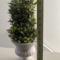 Faux Boxwood with Vase