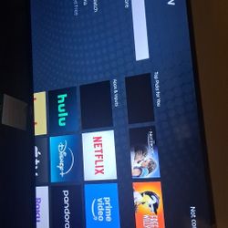 43 inch Roku TV (ONN)