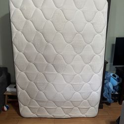 Full Size Mattress & Box Spring