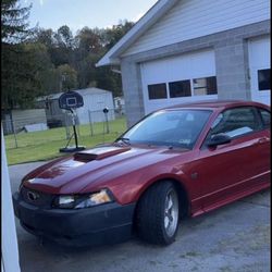 2002 Ford Mustang