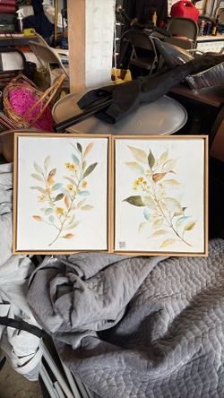 Picture Canvas