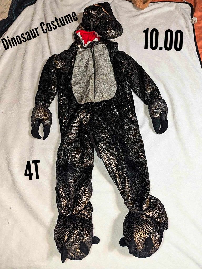 4T Dinosaur Costume