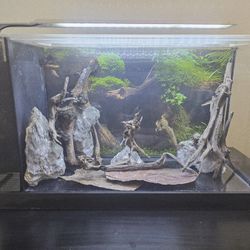 Fluval Spec V