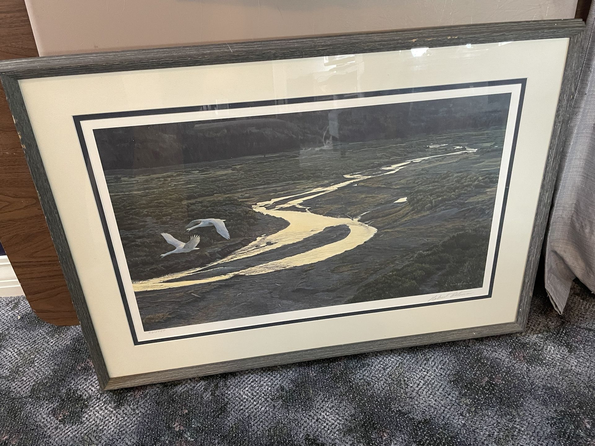 Robert Bateman Print - Trumpeter Swans