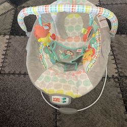 Baby Bouncer