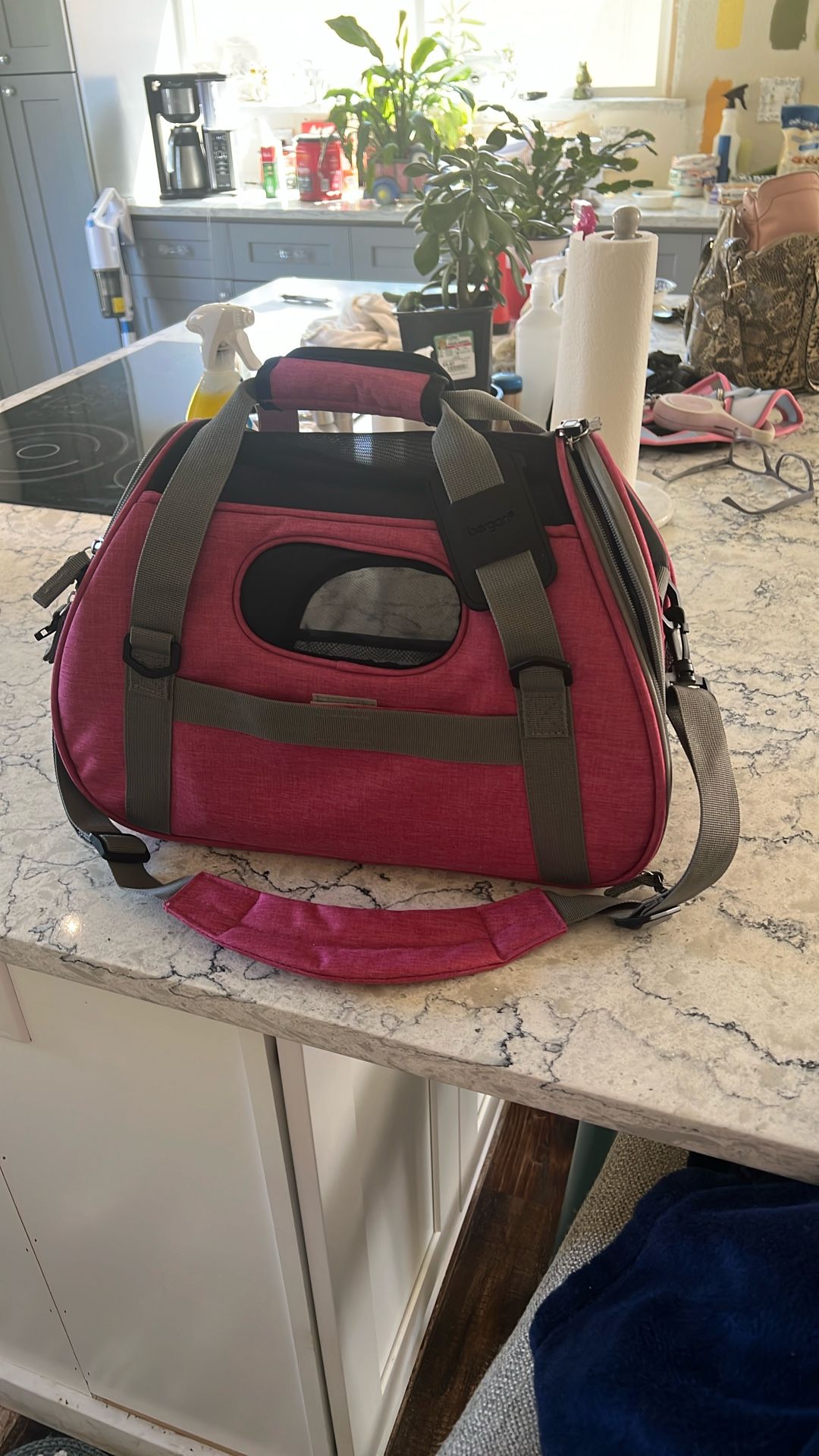Small Dog Carrier